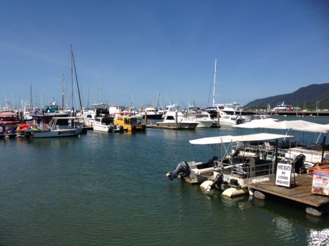 IMG_5878 (FILEminimizer)