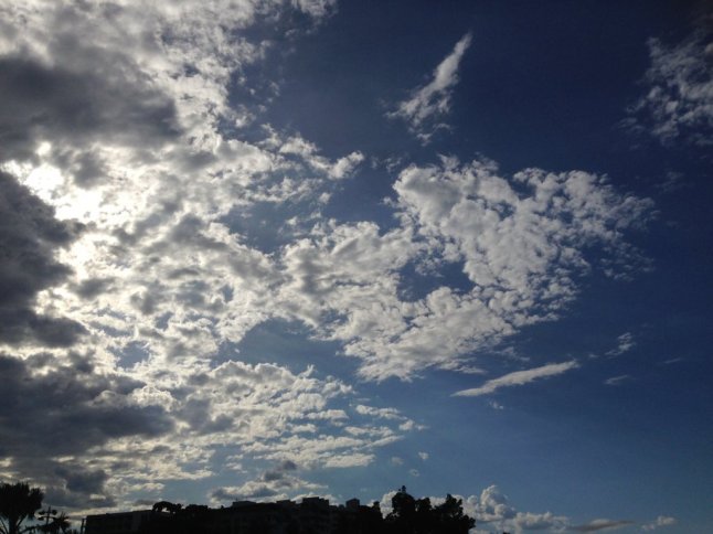 IMG_5886 (FILEminimizer)