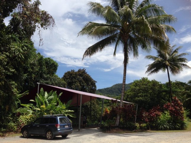 IMG_5937 (FILEminimizer)