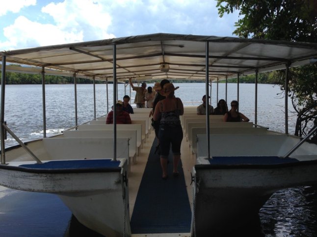 IMG_5939 (FILEminimizer)