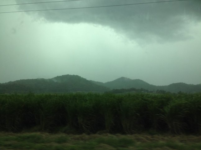 IMG_5941 (FILEminimizer)