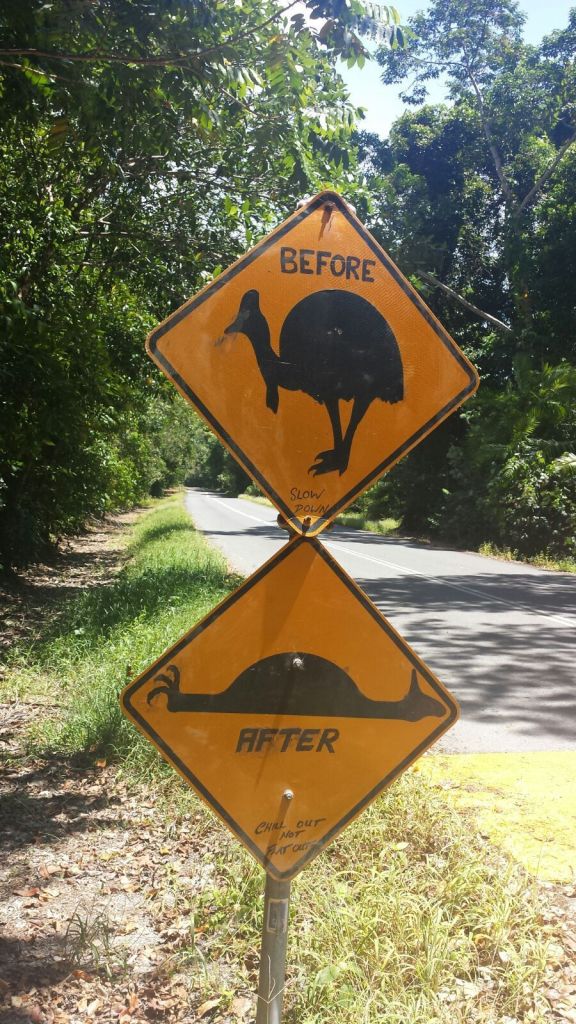 IMG_6126 (FILEminimizer)