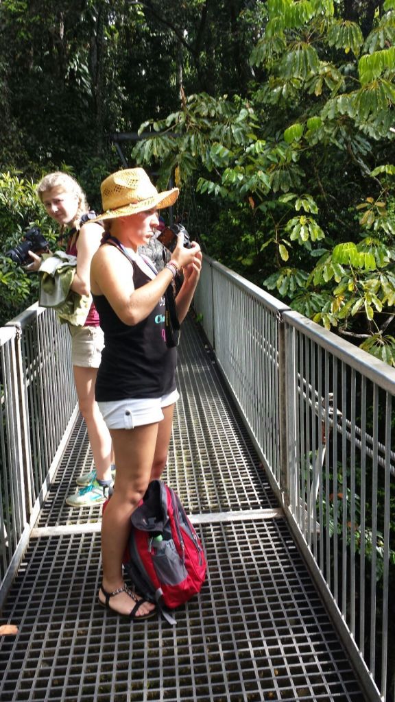 IMG_6137 (FILEminimizer)