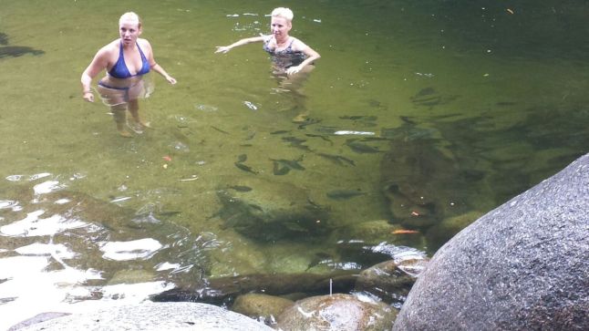 IMG_6138 (FILEminimizer)