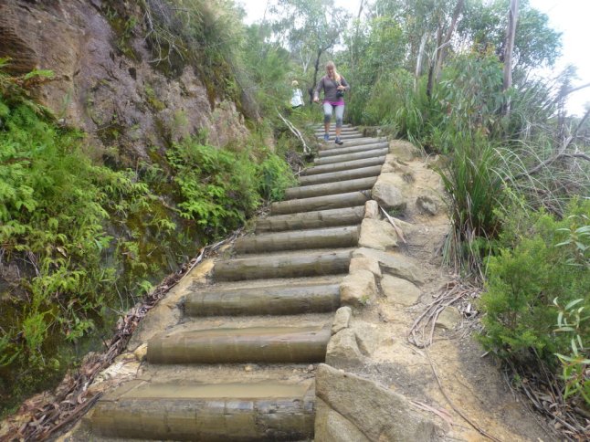 P1070209 (FILEminimizer)