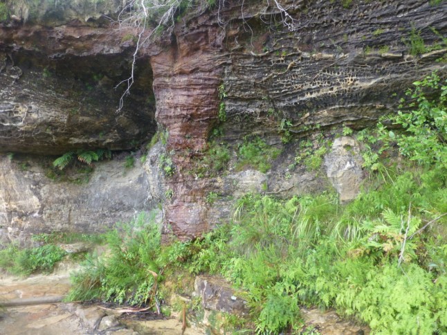 P1070210 (FILEminimizer)