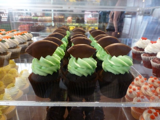 P1070355 (FILEminimizer)