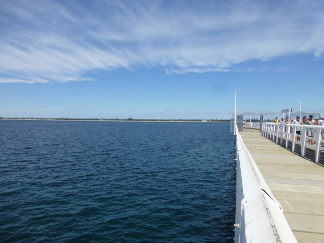 P1070501 (FILEminimizer)