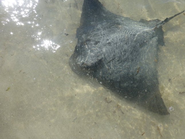 P1070524 (FILEminimizer)