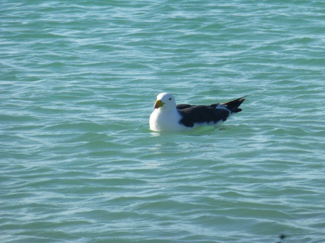 P1070528 (FILEminimizer)