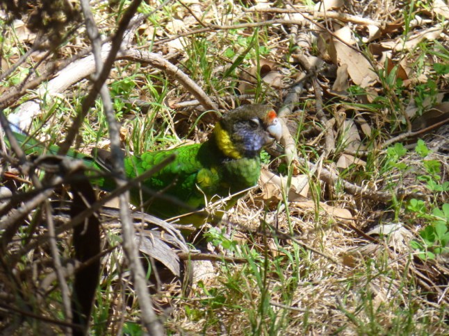 P1070560 (FILEminimizer)