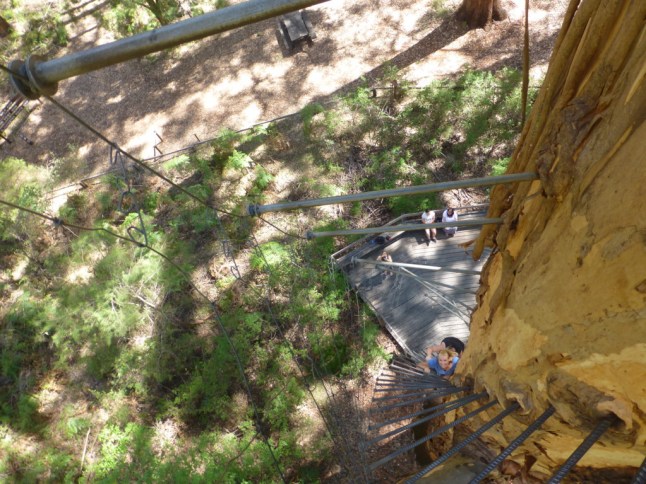 P1070561 (FILEminimizer)