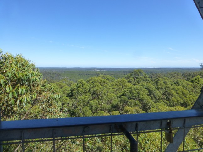 P1070566 (FILEminimizer)