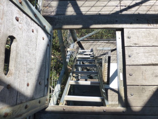 P1070568 (FILEminimizer)