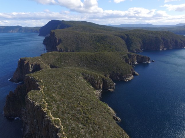 DJI_0005 (FILEminimizer)