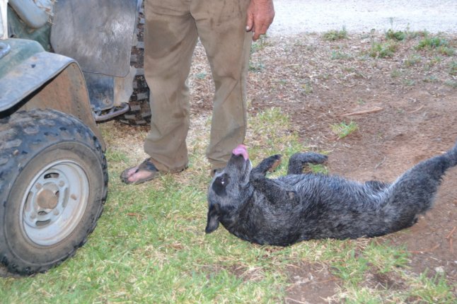 DSC_0005 (FILEminimizer)