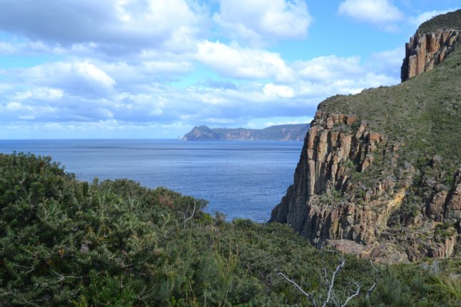 DSC_0010 (FILEminimizer)