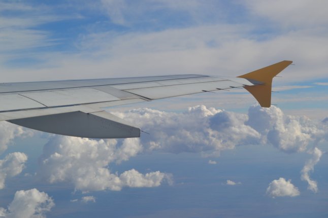 DSC_0011 (FILEminimizer)