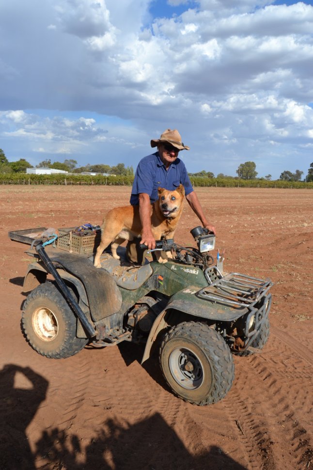 DSC_0014 (FILEminimizer)