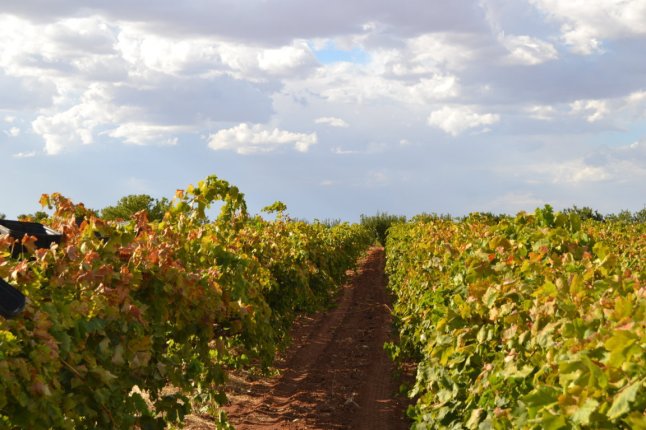 DSC_0016 (FILEminimizer)