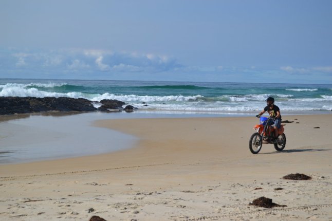 DSC_0016 (FILEminimizer)