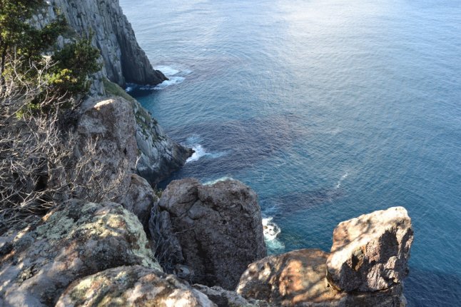 DSC_0020 (FILEminimizer)