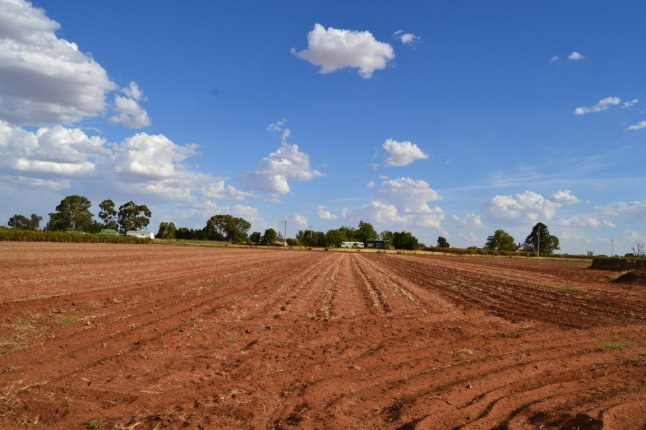 DSC_0027 (FILEminimizer)