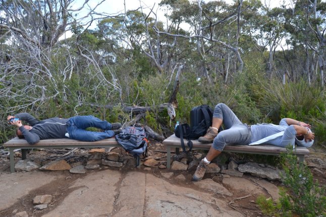 DSC_0040 (FILEminimizer)