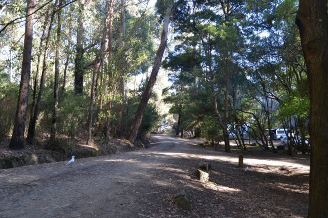 DSC_0043 (FILEminimizer)