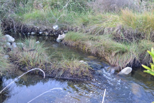 DSC_0045 (FILEminimizer)