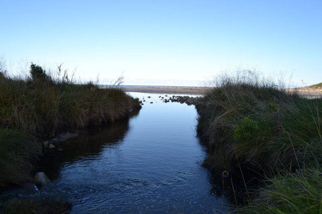 DSC_0046 (FILEminimizer)