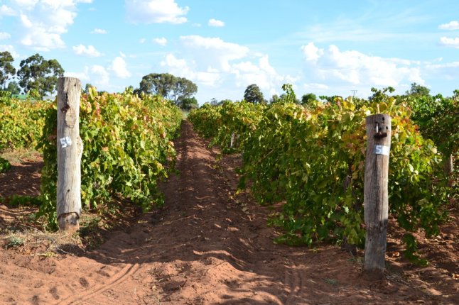 DSC_0051 (FILEminimizer)