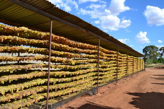 DSC_0067 (FILEminimizer)