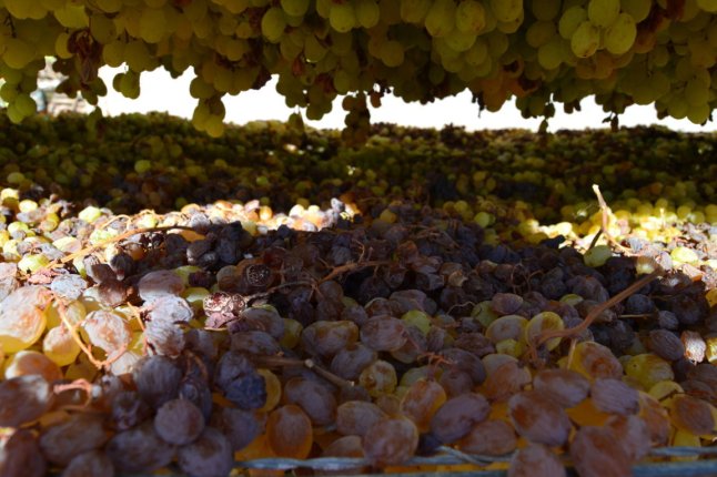 DSC_0069 (FILEminimizer)