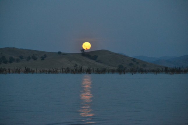 DSC_0072 (FILEminimizer)