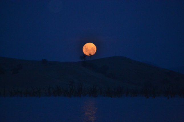 DSC_0073 (FILEminimizer)