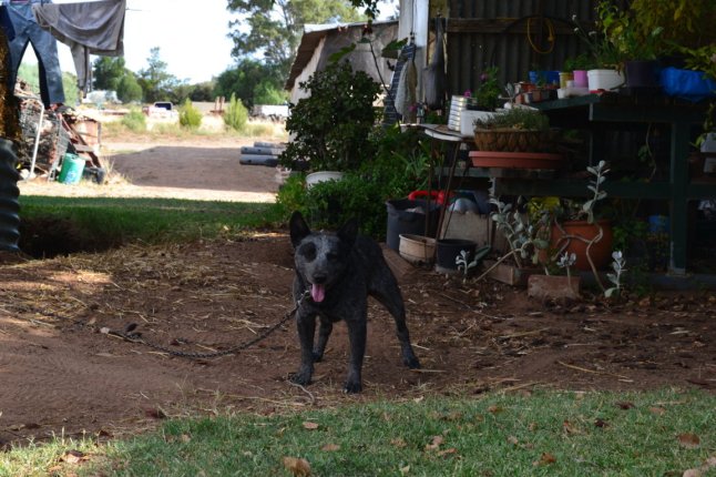 DSC_0075 (FILEminimizer)