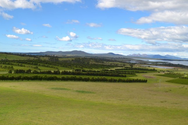 DSC_0079 (FILEminimizer)