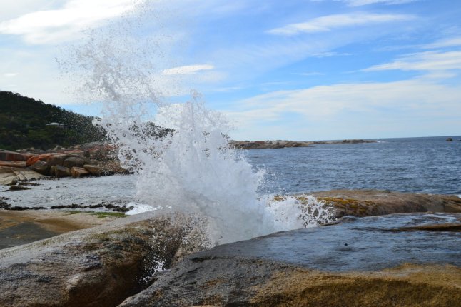 DSC_0094 (FILEminimizer)