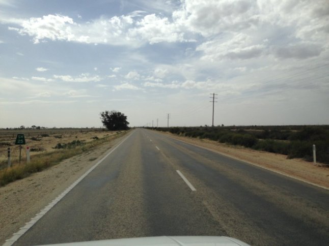 IMG_6109 (FILEminimizer)