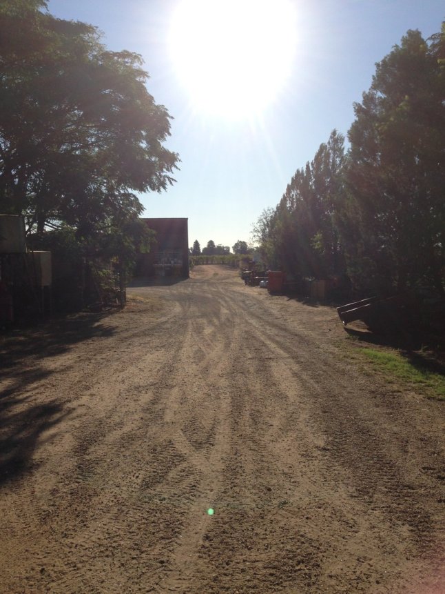 IMG_6182 (FILEminimizer)