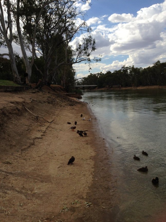 IMG_6404 (FILEminimizer)