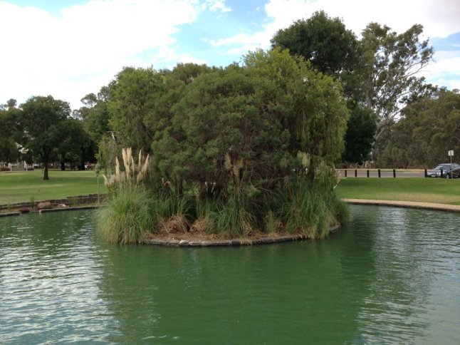 IMG_6406 (FILEminimizer)