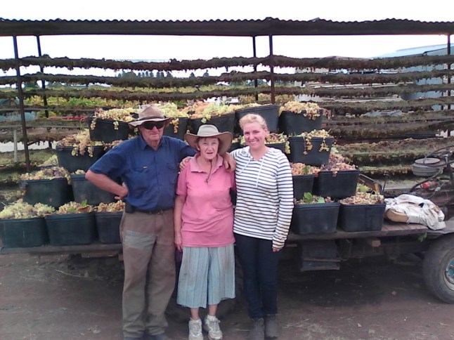 IMG_6434 (FILEminimizer)