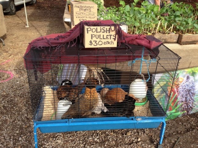 IMG_6460 (FILEminimizer)