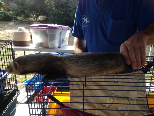 IMG_6461 (FILEminimizer)