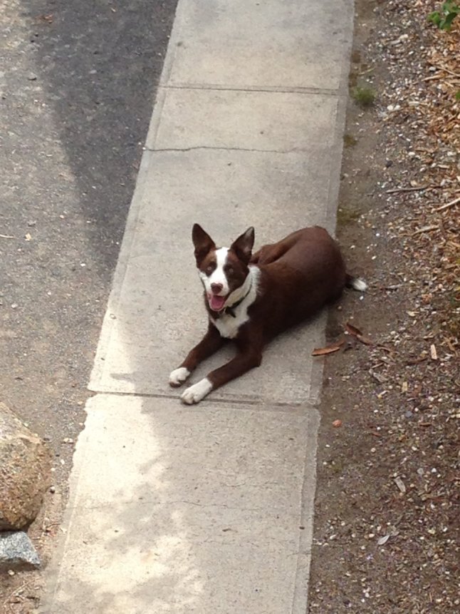 IMG_6520 (FILEminimizer)