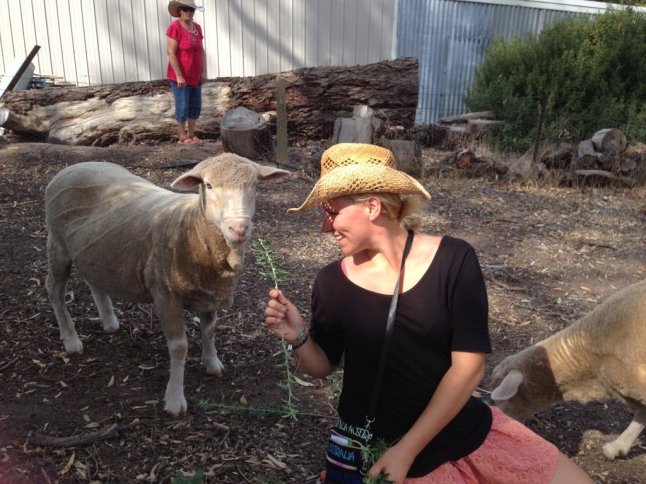 IMG_6537 (FILEminimizer)