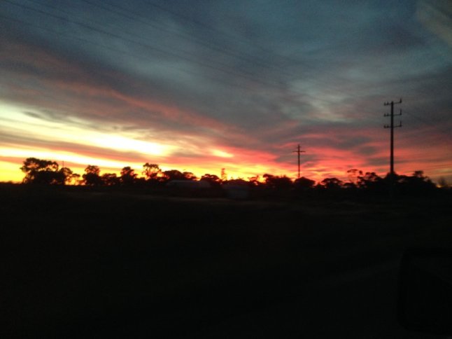 IMG_6553 (FILEminimizer)