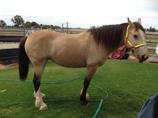 IMG_6565 (FILEminimizer)